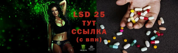 ALPHA PVP Корсаков