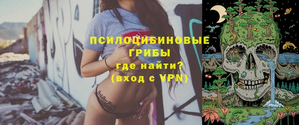 мдпв Коряжма