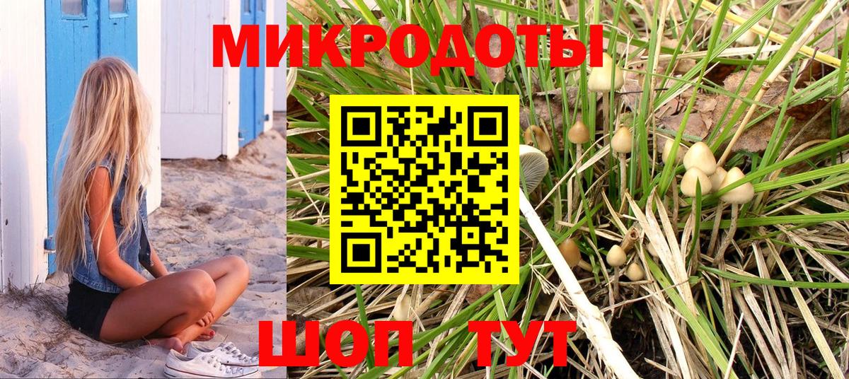 Апшеронск  Галлюциногенные грибы Psilocybine cubensis  Вход с VPN 
